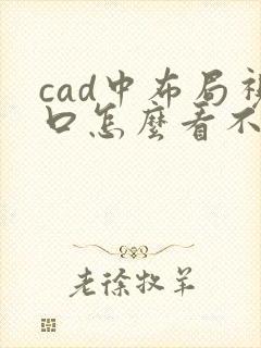 cad中布局视口怎么看不到图