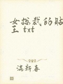 女总裁的贴身兵王 txt