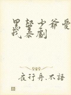 黑帮少爷爱上了我泰剧