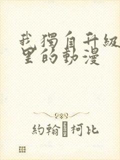 我独自升级是哪里的动漫