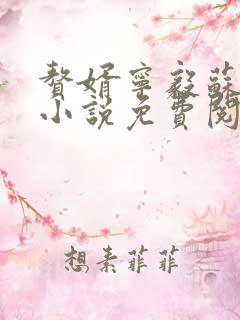 赘婿宁毅苏檀儿小说免费阅读全文