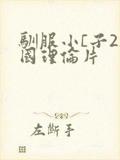 驯服小[子2韩国理伦片