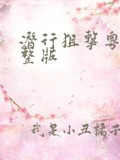 潜行狙击粤语完整版