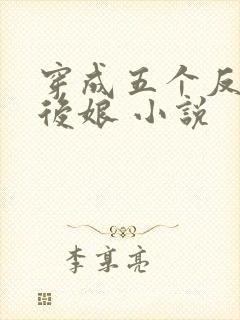 穿成五个反派的后娘 小说