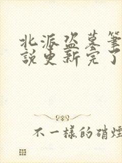 北派盗墓笔记小说更新完了吗