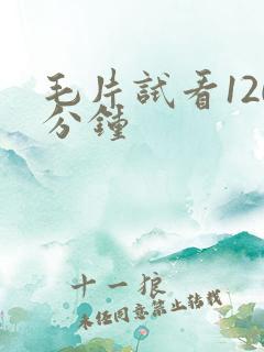 毛片试看120分钟