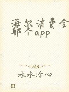 海尔消费金融是那个app