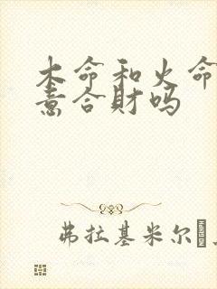 木命和火命做生意合财吗