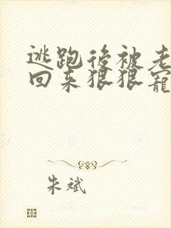 逃跑后被老攻抓回来狠狠宠爱by杀猪刀小说