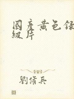 国产黄色录像一级片