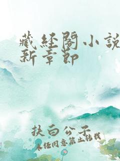 藏经阁小说网最新章节