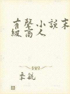 有声小说末世超级商人