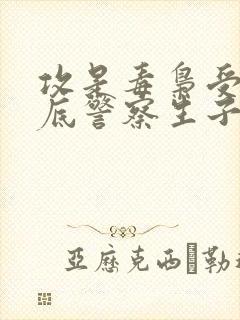 攻是毒枭受是卧底警察生子小说双男