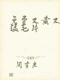 免费又黄又爽又猛毛片