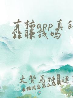 有柿app真的能赚钱吗