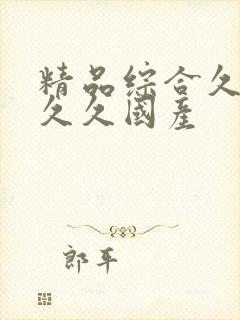 精品综合久久久久久国产