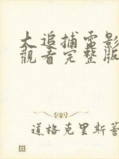 大追捕电影在线观看完整版免费