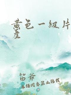 黄色一级片,国产