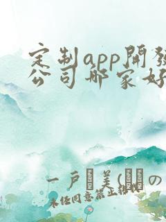 定制app开发公司哪家好