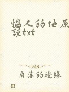 恼人的他原著小说txt