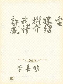 许我耀眼电视剧剧情介绍