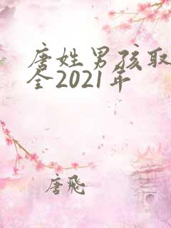 唐姓男孩取名大全2021年