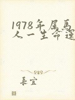 1978年属马人一生命运