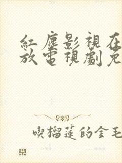 红尘影视在线播放电视剧免费观看