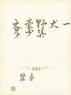 文豪野犬一共有多少集
