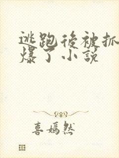 逃跑后被抓回来爆了小说