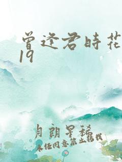 曾逢君时花照眼19