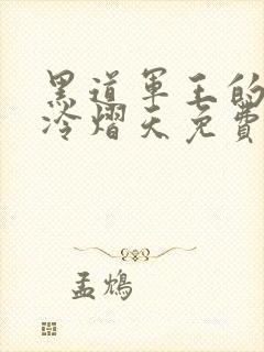 黑道军王的宠妻冷熠天免费阅读