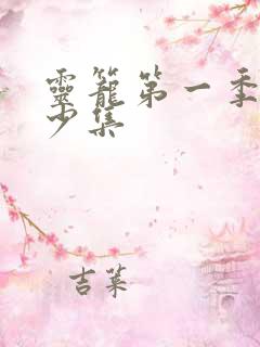 灵笼第一季有多少集