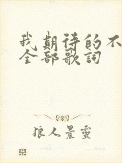 我期待的不是雪全部歌词