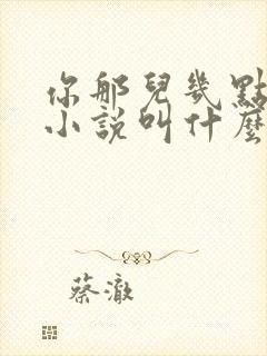 你那儿几点原著小说叫什么