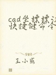 cad坐标标注快捷键命令zbbz