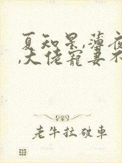 夏知星,薄夜宸,大佬宠妻不腻