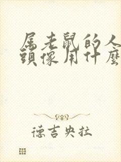 属老鼠的人微信头像用什么能旺财