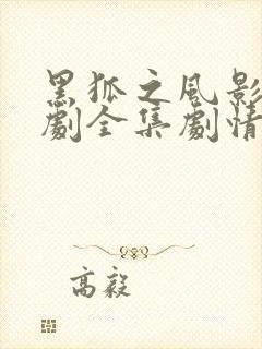 黑狐之风影电视剧全集剧情介绍