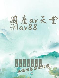 国产av天堂亚洲av88