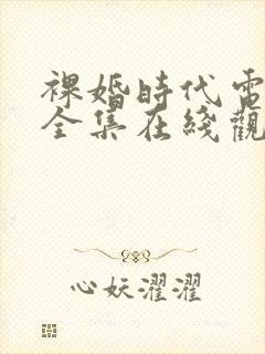 裸婚时代电视剧全集在线观看