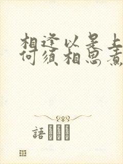 相逢以是上上签何须相思煮余年