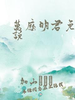 万历明君免费小说