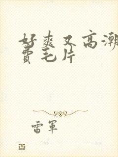 好爽又高潮了免费毛片