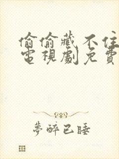 偷偷藏不住在线电视剧免费观看