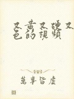 又黄又硬又爽又色的视频