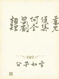 相思何须煮余年短剧全集免费观看