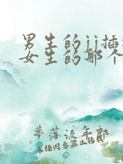 男生的jj插进女生的那个视频