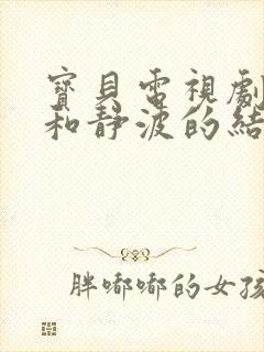 宝贝电视剧孙哲和静波的结局