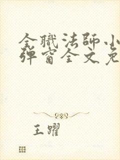 全职法师小说无弹窗全文免费阅读